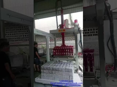 Robot di palletizzazione industriale controllato da PLC per l'automazione degli impianti